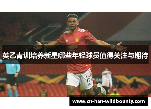 英乙青训培养新星哪些年轻球员值得关注与期待