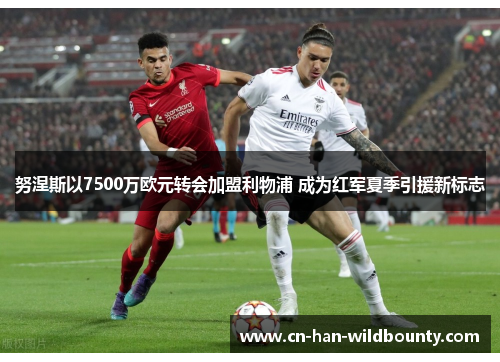 努涅斯以7500万欧元转会加盟利物浦 成为红军夏季引援新标志